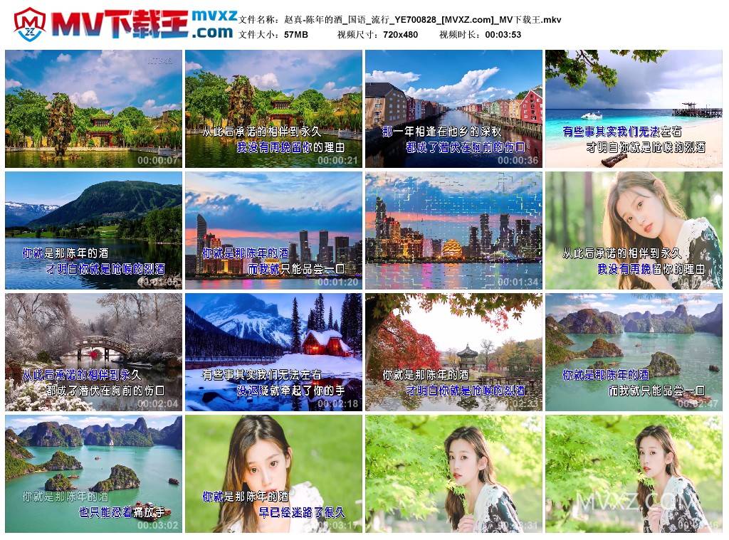 赵真-陈年的酒_国语_流行_YE700828